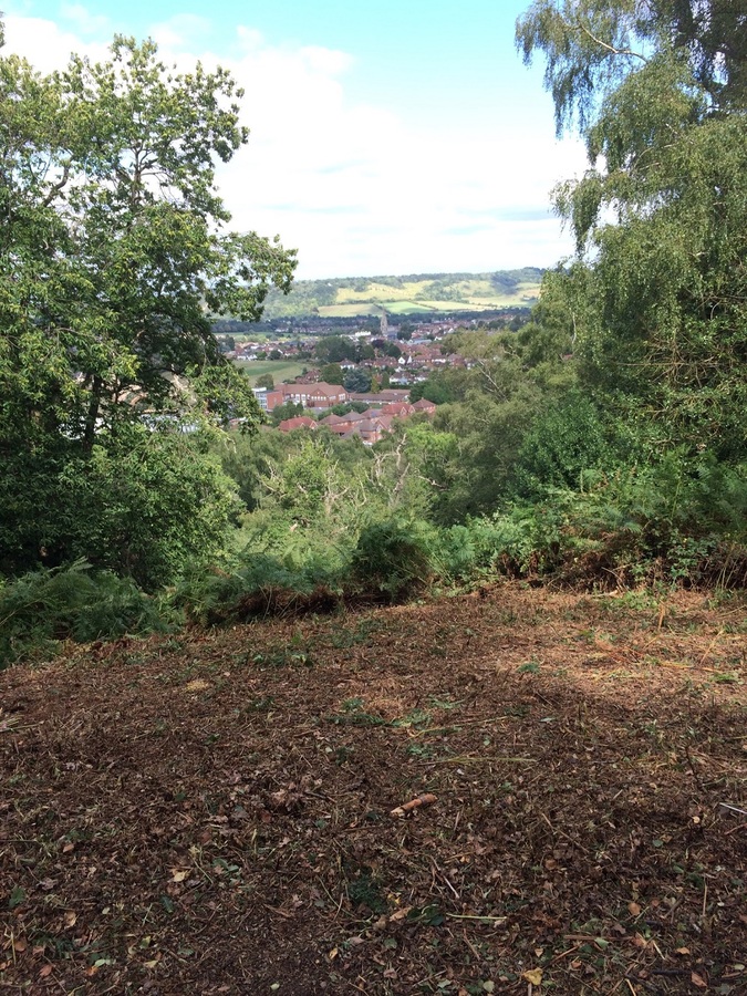 View NE towards Dorking after clearance